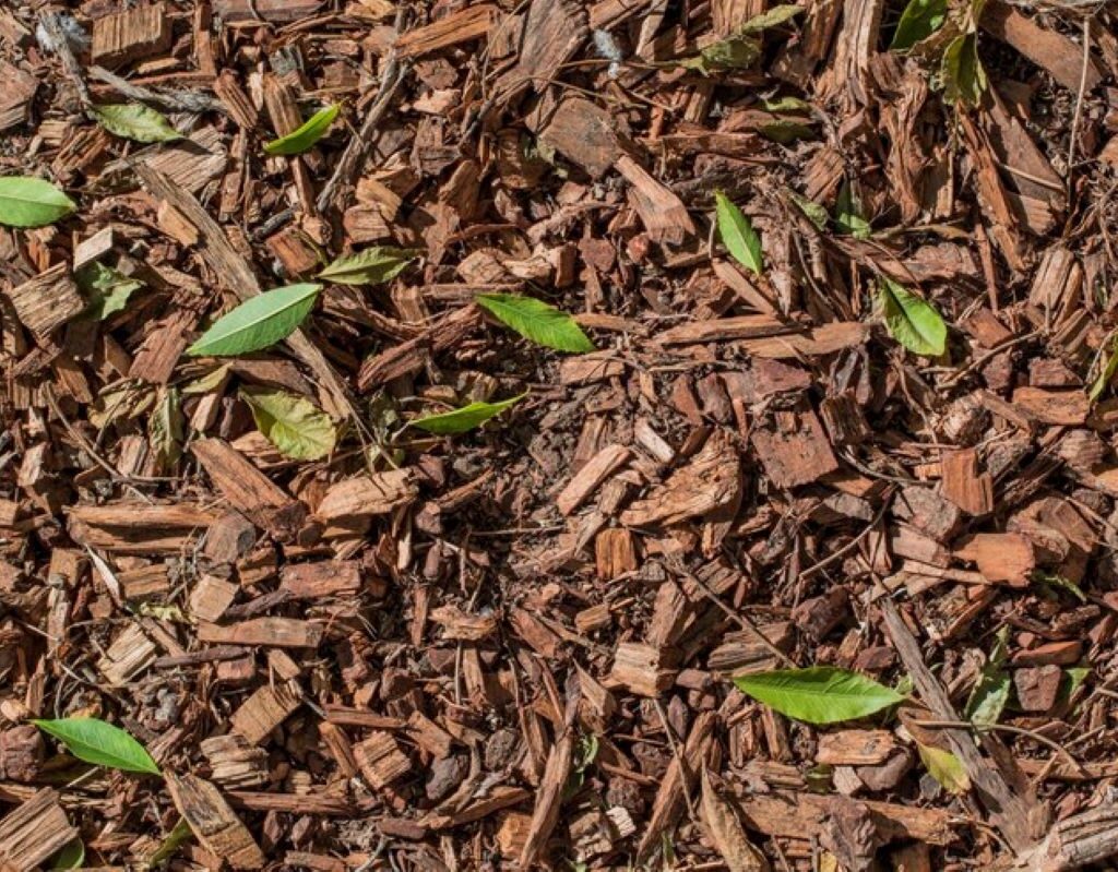 wood mulch