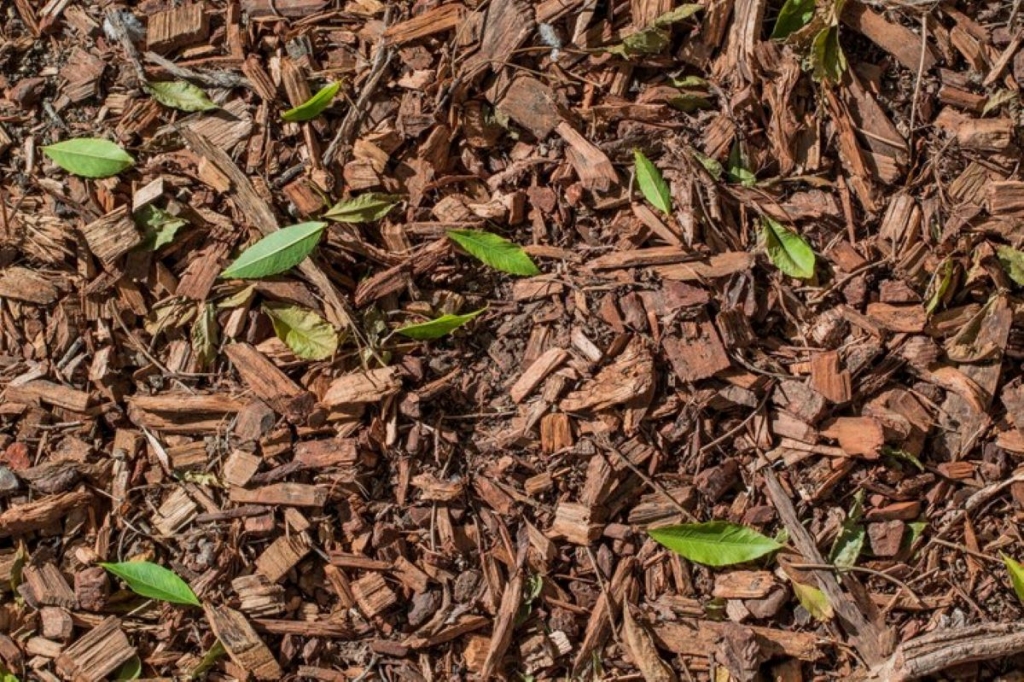 Bark mulch