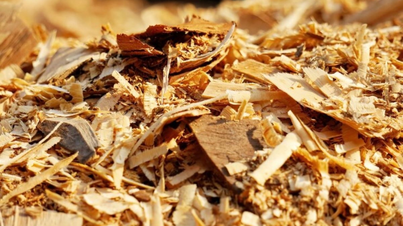 wood chips mulch