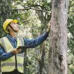 consulting arborist sydney