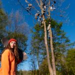 arborist services sydney