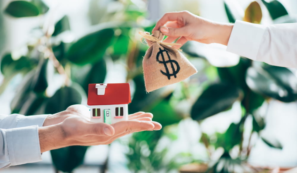 What Is the Best Property Investment Strategy for Doctors With Limited Time?