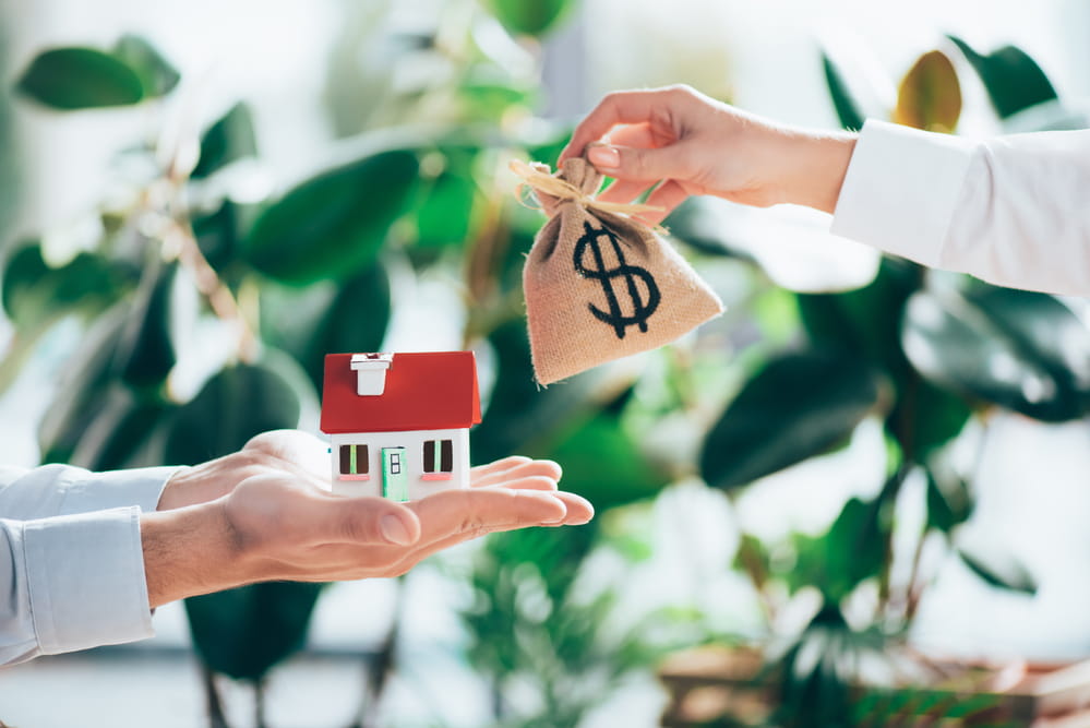 What Is the Best Property Investment Strategy for Doctors With Limited Time?